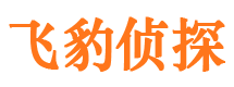 平阳侦探公司